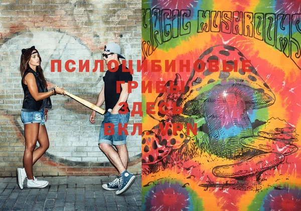 прущая мука Алзамай