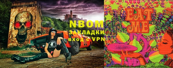 прущие грибы Алексин
